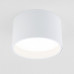 Потолочный светодиодный светильник Elektrostandard Banti 25123/LED 13W 3000K белый a063927