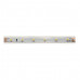 Светодиодная влагозащищенная лента DesignLed 4,8W/m 60LED/m 3528SMD холодный белый 5M 003110