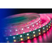 Светодиодная влагозащищенная лента DesignLed 28,8W/m 120LED/m 5050SMD разноцветный/холодный белый 5M 000514